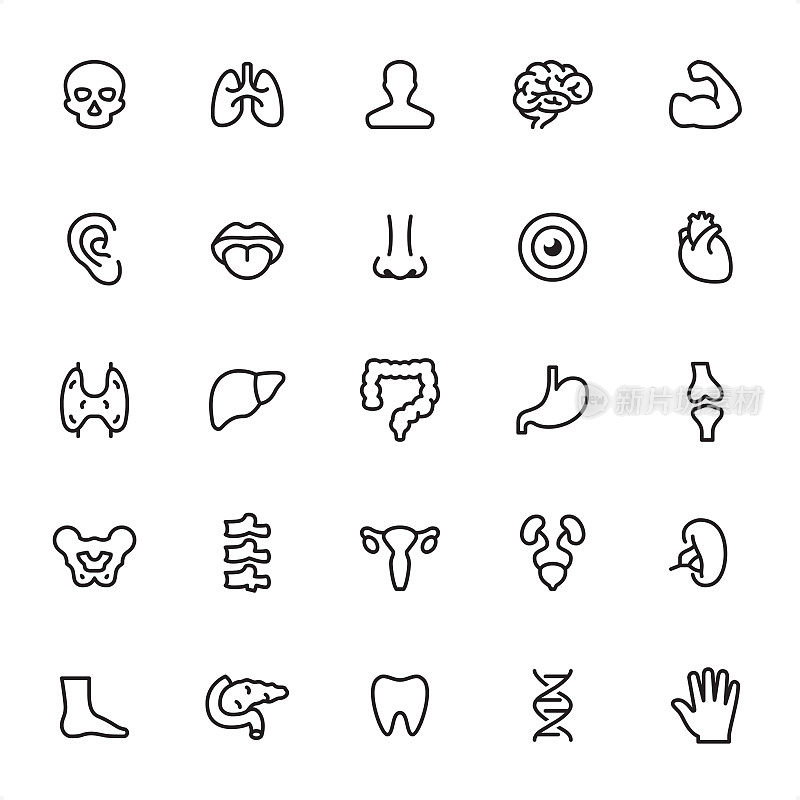 Human Anatomy - Outline Icon Set